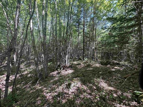 Lot 1 Mint Brook Road, Molega North, NS 