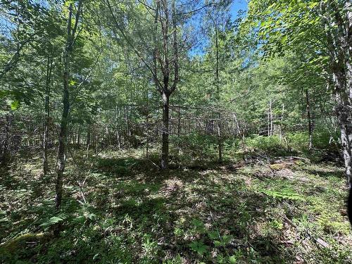 Lot 1 Mint Brook Road, Molega North, NS 