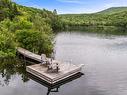 Bord de l'eau - 270 Ch. Du Lac-Du-Brochet, Montcalm, QC  - Outdoor With Body Of Water With View 