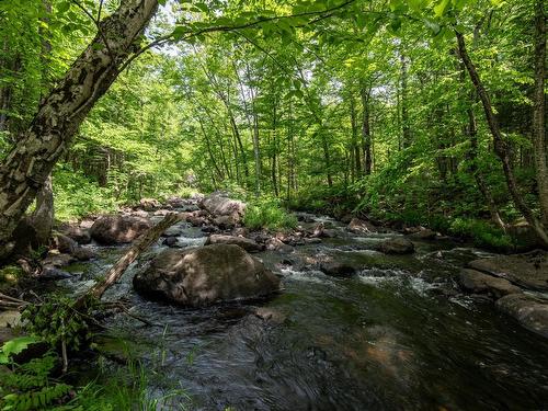 Other - 270 Ch. Du Lac-Du-Brochet, Montcalm, QC - Outdoor