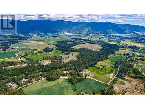 4700 Schubert Road, Armstrong, BC - Outdoor With View