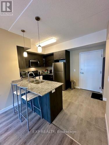 516 - 251 Hemlock Street, Waterloo, ON - Indoor Photo Showing Kitchen With Double Sink