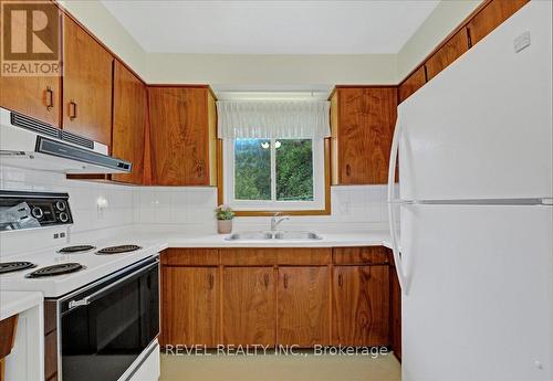 328 West 5Th Street, Hamilton, ON - Indoor Photo Showing Kitchen With Double Sink