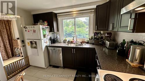 44 - 151 Gateshead Crescent, Hamilton, ON - Indoor Photo Showing Kitchen With Double Sink