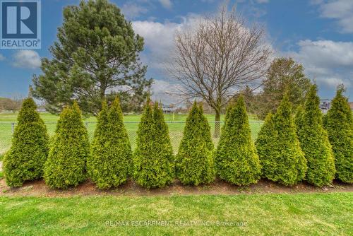 7 Sunnydale Court, West Lincoln, ON - Outdoor With View