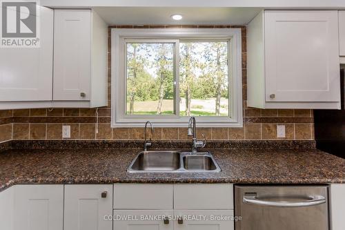686078 Highway 2, Rr 5 Road S, Woodstock, ON - Indoor Photo Showing Kitchen With Double Sink