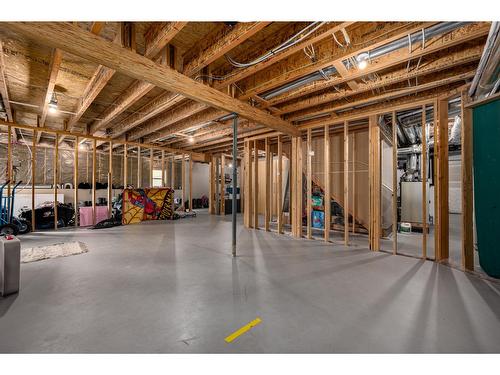 787 Crescent Bay Road, Nakusp, BC - Indoor Photo Showing Basement