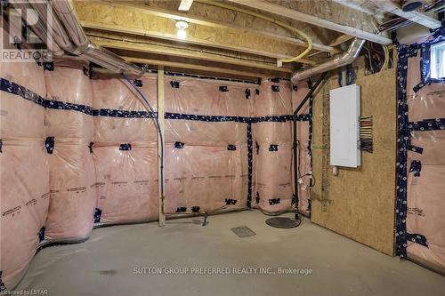 252 Leitch Street, Dutton/Dunwich (Dutton), ON - Indoor Photo Showing Basement