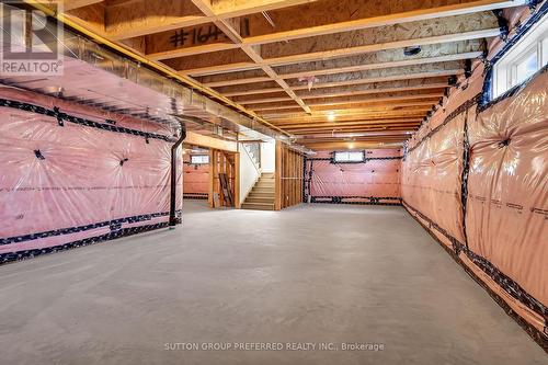 186 Leitch Street, Dutton/Dunwich (Dutton), ON - Indoor Photo Showing Basement