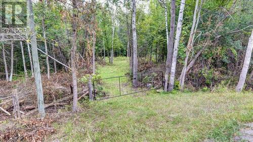 791 Mount Horeb Road, Kawartha Lakes, ON 