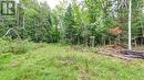 791 Mount Horeb Road, Kawartha Lakes, ON 