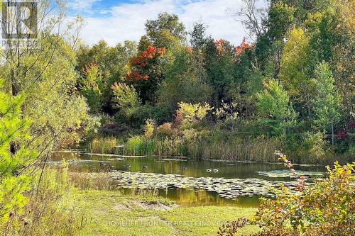 48 Patrick Drive, Barrie (Painswick South), ON - Outdoor With View