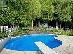 Kidney shape pool with newer liner, dive board, insulated cover and new heater. - 