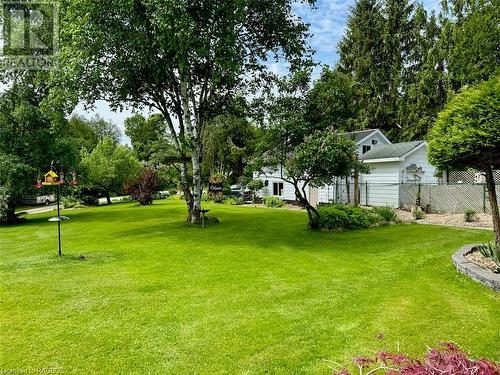 Football, croquet, soccer, baseball ... or just a tranquil setting. - 47 Water Street, Northern Bruce Peninsula, ON - Outdoor