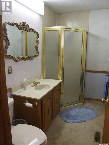 316 8Th Street W, Leader, SK - Indoor Photo Showing Bathroom