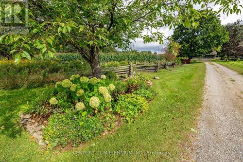 20909 Shaws Creek Road, Caledon, ON - Outdoor