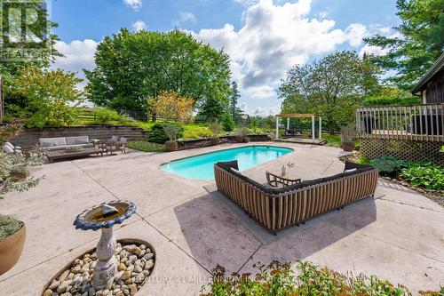 20909 Shaws Creek Road, Caledon, ON - Outdoor With In Ground Pool With Backyard