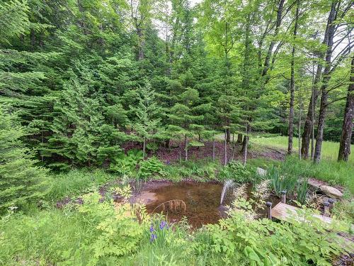 Water view - 6107 Ch. Vincent-Massey, Rawdon, QC - Outdoor
