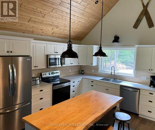 60 Paradise Drive, Northern Bruce Peninsula, ON - Indoor Photo Showing Kitchen