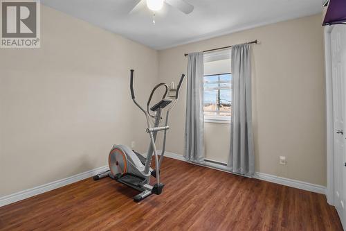 166 Mallow Drive, Paradise, NL - Indoor Photo Showing Gym Room