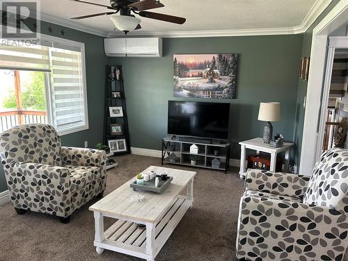 46 Main Road, Browns Arm, NL - Indoor Photo Showing Living Room