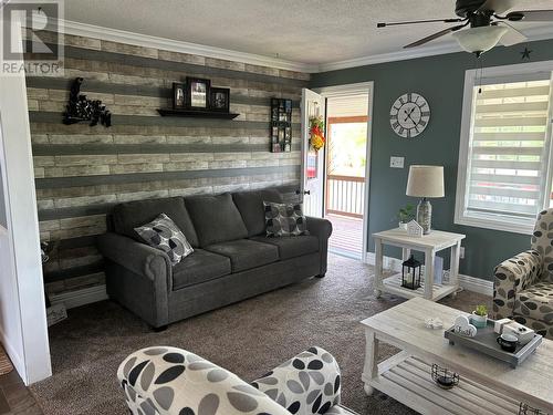 46 Main Road, Browns Arm, NL - Indoor Photo Showing Living Room