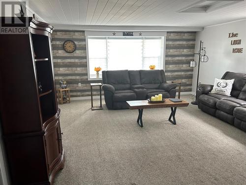 46 Main Road, Browns Arm, NL - Indoor Photo Showing Living Room