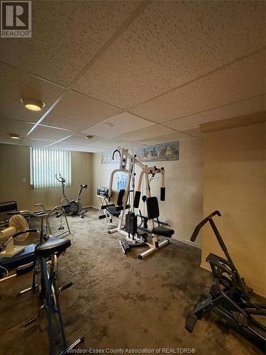 120 Pickering Drive Unit# 705, Amherstburg, ON - Indoor Photo Showing Gym Room
