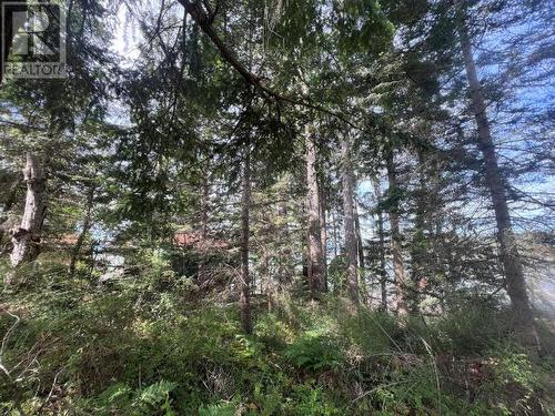 Lot 11 Gillies Bay Road, Texada Island, BC 