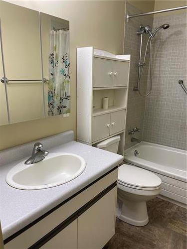 6 1103 3Rd Street S, Swan River, MB - Indoor Photo Showing Bathroom