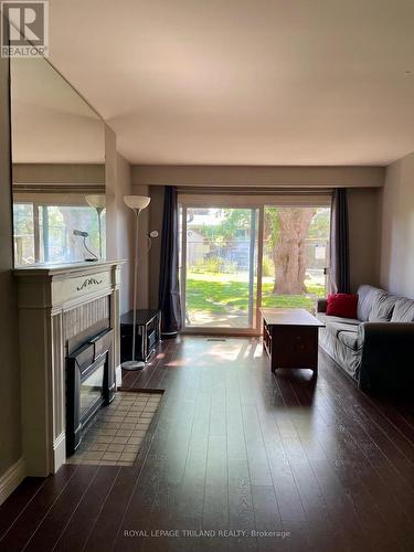 49 Arbour Glen Crescent, London, ON - Indoor Photo Showing Living Room With Fireplace