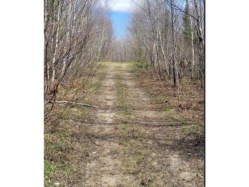 82.48 Acres Parcels 4856 And 4857, Shaw Township, ON 