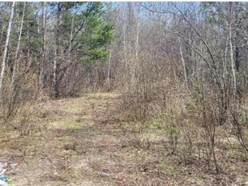 82.48 Acres Parcels 4856 And 4857, Shaw Township, ON 