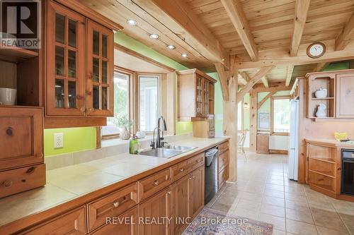 223 Washburn Island Road, Kawartha Lakes, ON - Indoor Photo Showing Kitchen With Double Sink