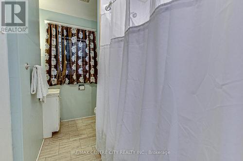 51 East Street, St. Thomas, ON - Indoor Photo Showing Bathroom