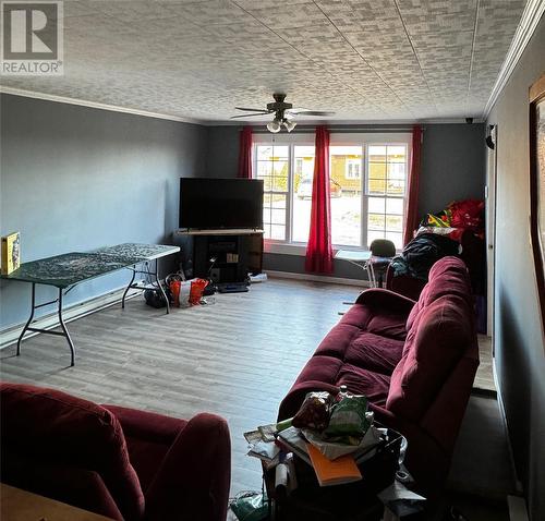 6 Seaview Crescent Extension, New-Wes-Valley, NL - Indoor Photo Showing Living Room