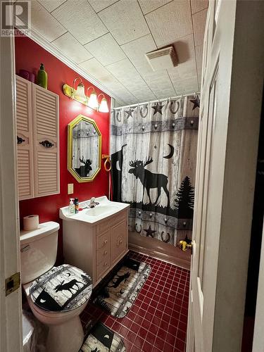 6 Seaview Crescent Extension, New-Wes-Valley, NL - Indoor Photo Showing Bathroom