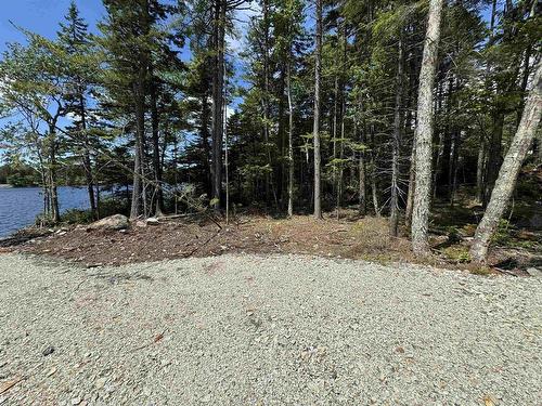 Golden Forest Road, North Kemptville, NS 