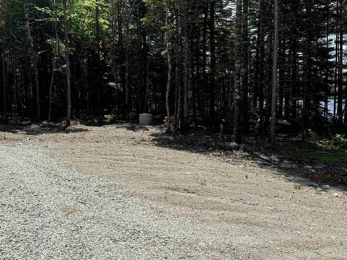 Golden Forest Road, North Kemptville, NS 