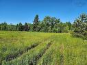 2.7 Acres Truro Road, Westville, NS 