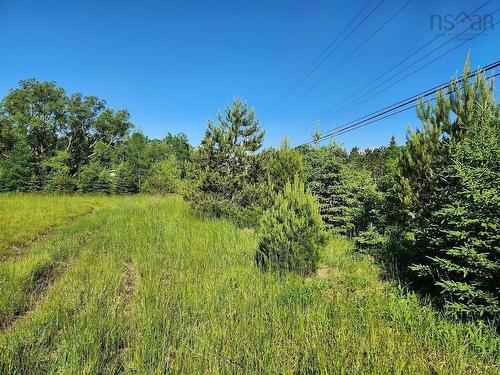 2.7 Acres Truro Road, Westville, NS 