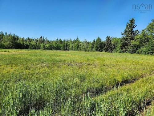 2.7 Acres Truro Road, Westville, NS 