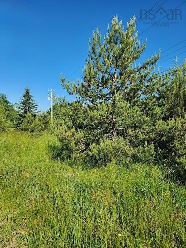 2.7 Acres Truro Road, Westville, NS 