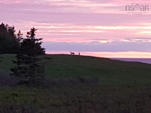 Shore Road, Waterside, NS 