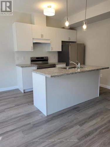 37 - 270 Melvin Avenue, Hamilton, ON - Indoor Photo Showing Kitchen With Double Sink With Upgraded Kitchen