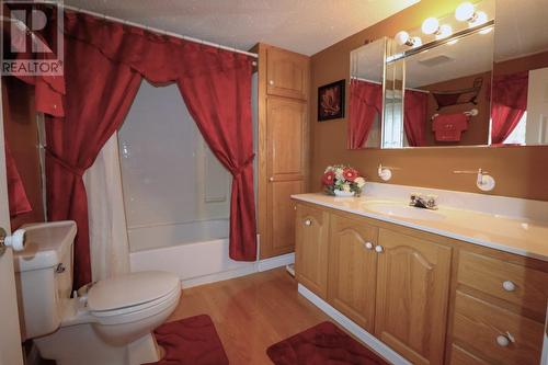 9 Newtown Road, Seal Cove, NL - Indoor Photo Showing Bathroom