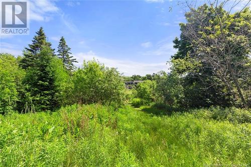 373 Breau Creek Road, Memramcook, NB - Outdoor With View