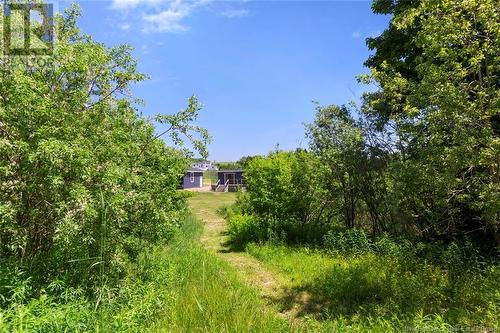 373 Breau Creek Road, Memramcook, NB - Outdoor With View