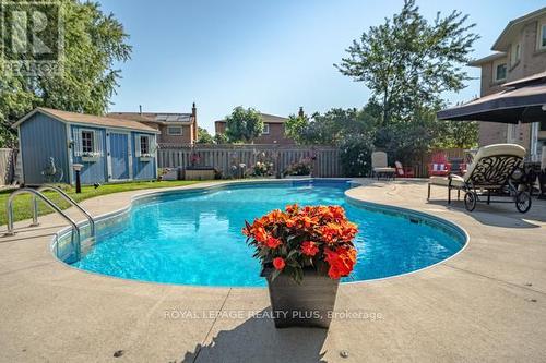 3139 Barwell Road, Mississauga, ON - Outdoor With In Ground Pool With Deck Patio Veranda With Backyard