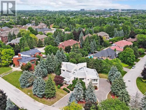 29 Moodie Drive, Richmond Hill, ON - Outdoor With View